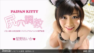 013113_523 Anal training pie bread kitty Thumbnail