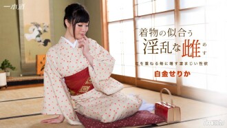 091817_582 Nasty female platinum serika who looks good in kimono Thumbnail