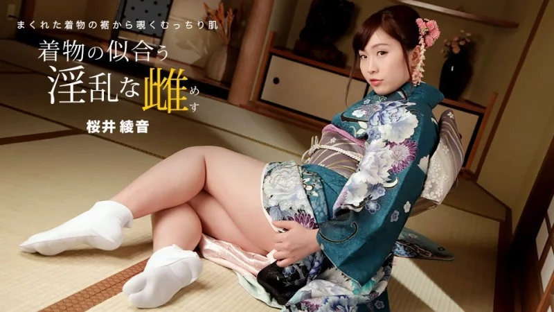 1PONDO-010822_001 1Pondo-010822_001 - Ayane Sakurai, A Lewd Woman Who Looks Good In A Kimono