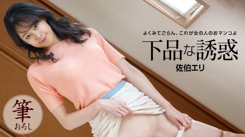 1PONDO-121522_001 1Pondo-121522_001 - Vulgar Temptation