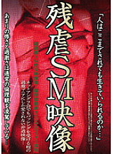 AEIL-188 Cruel SM Video Thumbnail