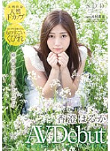 AVOP-126 Kasumi Haruka AVDebut - Haruka Kasumi Thumbnail