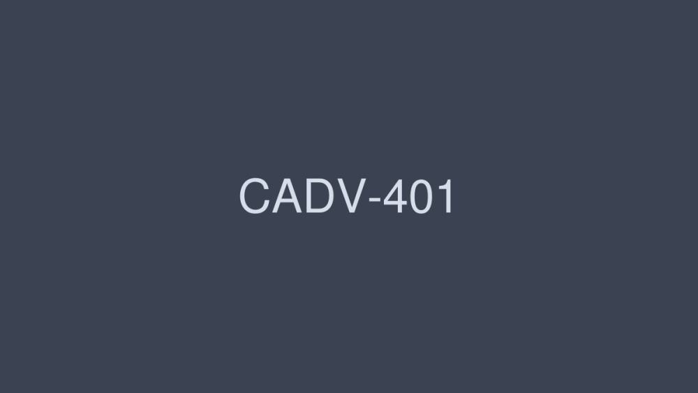 CADV-401 Maid costume 8 hours DX