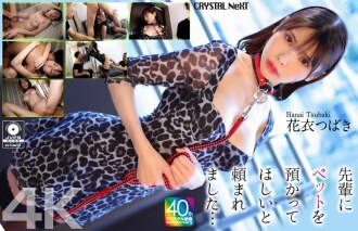 CRNX-254 [4K] My senior asked me to take care of his pet... Hanagoromo Tsubaki Thumbnail