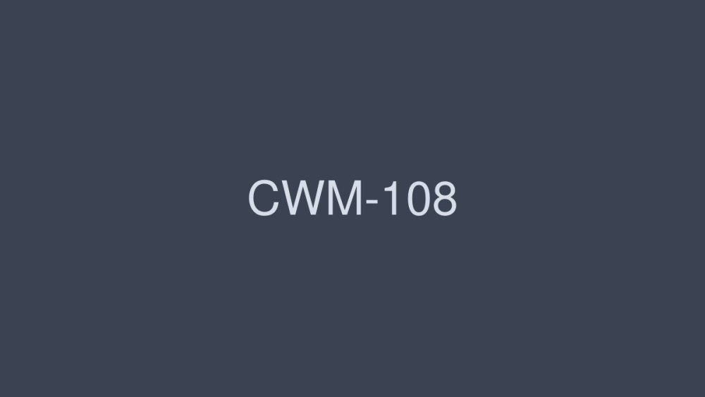 CWM-108 I Hate Teachers Rin Hanai Ryo Takamiya