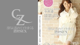 CZ013 Dense SEX that is disturbed indecently and spree Thumbnail