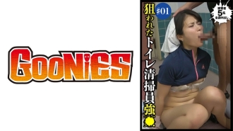 DG-069 Targeted Toilet Cleaning Staff #1 Thumbnail