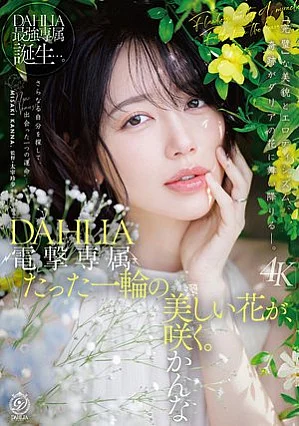 DLDSS-532 DAHLIA Misaki Kanna - زهرة جميلة واحدة تتفتح صورة مصغرة
