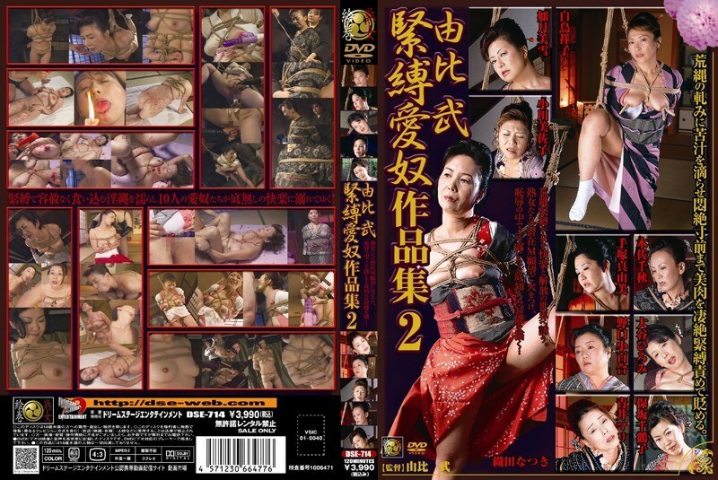 DSE-714 Yui Takeshi Bondage Lover Works 2