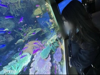 FC2-PPV-2851908 [Appearance] Shocking run! ! ! Few men experience FC2-PPV-2851908, the imadoki girl of JΓù» learns pleasure and steadily climbs the stairs of adults