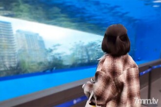 FC2-PPV-2876197 * Sold for a limited time * [Creampie / Creampie] * With long benefits * My acquaintance's sister came to Tokyo at this time and said that she was having trouble with her life. FC2-PPV-2876197 let me shoot Thumbnail