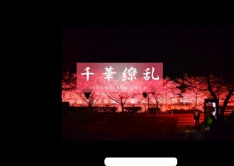 FC2-PPV-3166039 [Legendary beauty again..Ⅱ] Clear air and the best beauty again. Please see the shocking 3P. Sakura 18 years old Thumbnail