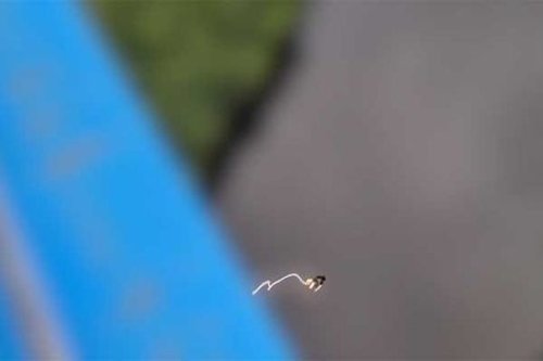*55% OFF for first-time customers until the 21st* Scream during bungee jumping! *Some prohibited actions apply* [Face revealed, training edition] A sadistic boyfriend makes his girlfriend masturbate in the back of a car with his friend. Af