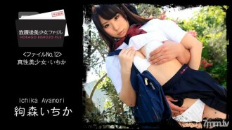 HEYZO-1060 After School Beautiful Girl File No.12 ~ Intrinsic Beautiful Girl Ichika ~ Thumbnail
