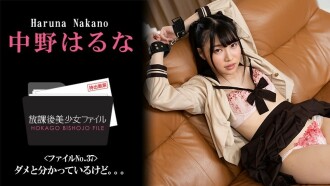 HEYZO-3044 Haruna Nakano [Haruna Nakano] After School Beautiful Girl File No.37 ~I know it's wrong but...~ - Adult Video HEYZO Thumbnail