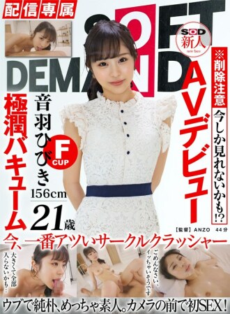 HISN-012-2 [Distribution Exclusive] SOD Rookie AV Debut Hibiki Otowa (21) Gokujun Vacuum Thumbnail