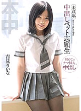 HND-062 Creampie Pet Volunteer Riina Yoshimi Thumbnail