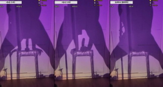 KBJ-24080840 kbj24080840_ssong1024_20240420 Thumbnail