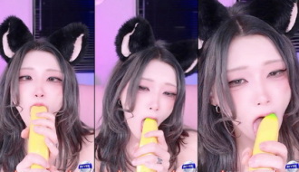 KBJ-25010239 kbj25010239_twingo1125_20241109 Thumbnail