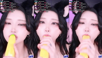 KBJ-25011847 kbj25011847_twingo1125_20241127 Thumbnail