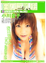 LLD-002 My Busty Sister Ogawa Otoko - Nene Ogawa Thumbnail