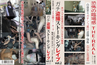 LOVE-049 Hardcore Voyeurism, Stalking, And Re Vol. 2 (LOVE-49)