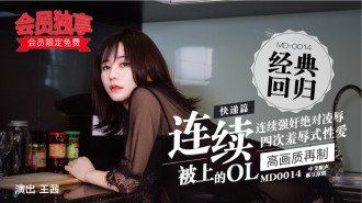 MD0014-4 Express articles - ol-d on continuous quilt Thumbnail