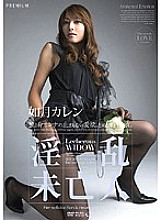 PGD-242 Nasty Widow Karen Kisaragi