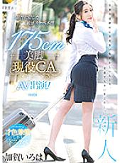 PRED-494 175cm Beautiful Legs Active CA AV Appearance! Kaga Iroha Thumbnail