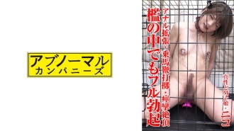 SACZ-431 Nico 1 Thumbnail