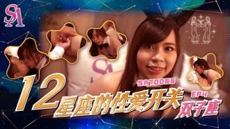 SAT0066 Zodiac Sex Switch - Gemini Thumbnail