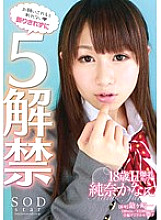 STAR-388 Unable To Decline 5 Unleashed Kanae Junna Thumbnail