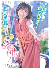 STARS-793 Convex at your house! A healing goddess who listens to amateur men's requests with a gentle smile and the best body! Noriko Hoshi