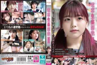 YDNS-011 Train Re Punishment #011