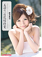 ABS-116 Miu's One Day Bridal Training Miu Fujisawa Thumbnail