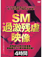 AEIL-338 SM Extreme Cruel Video Thumbnail