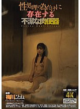 [UNCENSORED-LEAK] AGAV-124 A filthy flesh toilet that exists only for sexual purposes, Kotone Umekawa