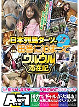 ATOM-016 Staying in the countryside at Japanese archipelago darts Thumbnail