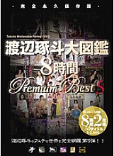 AVSP-016 Takuto Watanabe Encyclopedia 8 Hours Premium Best 5