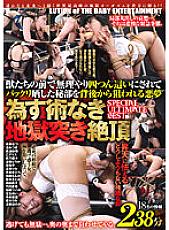 DBER-149 A nightmare that is aimed at the secret part that was forcibly crawled on all fours in front of the beasts and exposed from behind SPECIAL ULTIMATE BEST