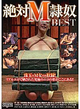 DDT-544 Absolute M Slave BEST Thumbnail