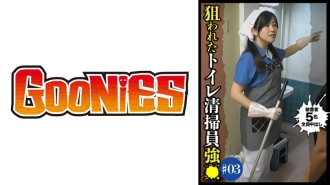 DG-071 Targeted Toilet Cleaning Staff #3 Thumbnail
