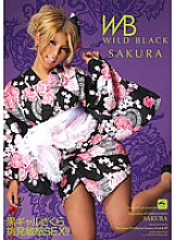 DGAL-003 WILD BLACK SAKURA Kuro Gal Sakura Provocative Sensitive SEX Thumbnail