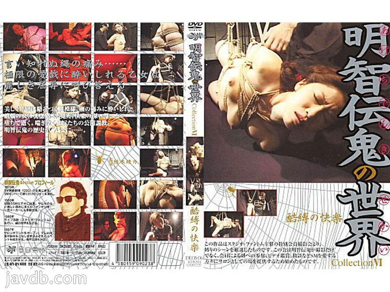 DKOS-06 World of Akechi Denki Collection 6 Pleasure of ugly bondage