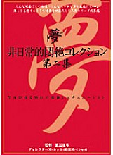 DPH-106 Extraordinary Agony Collection Vol.2 - Reiko Mizuno Thumbnail