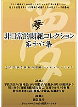 DPH-120 Extraordinary Agony Collection 16th Collection Thumbnail