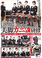 DVDES-726 Beautiful leg crab crotch training of a dignified cabin attendant Completely adhere to the demon training of CAs who boldly open pantyhose legs with a smile for customers at any time - Mori Nanako Thumbnail
