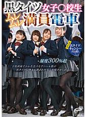 DVDMS-961 Girls In Black Tights ○ School Girls Over 300% Humidity Over 300% Humidity ... Immediately After School, I Was Sandwiched Between Black Tights Of Various Deniers And Made To Ejaculate Many Times! [Simultaneous Recording] Black Tights Kyonshi Gra Thumbnail
