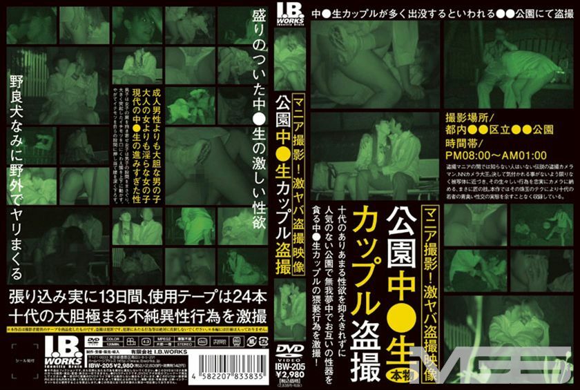 IBW-205 In the park ○ raw couple voyeur - South Aoi Thumbnail