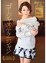 IPZ-441 Gorgeous technician chartered suite room Rio